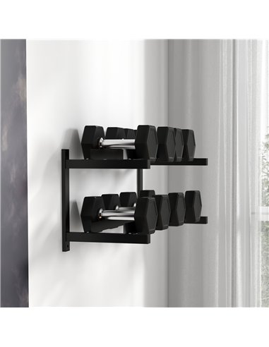 SPORTNOW Wall-Mounted Dumbbell Rack, 2-Tier Weight Stand, Space-Saving and Multi-Functional Steel organiser for Home Gym, Black