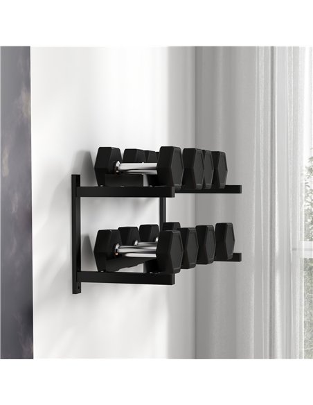 SPORTNOW Wall-Mounted Dumbbell Rack, 2-Tier Weight Stand, Space-Saving and Multi-Functional Steel organiser for Home Gym, Black - pic 174145 | FastDaddyshop