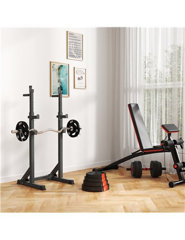 SPORTNOW Weight Plates Set, with Two 7.5kg and Two 5kg weights, Black