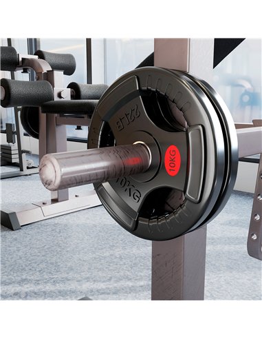 SPORTNOW Olympic Weight Plates, 2"/5cm Weight Disc Pair with Tri-Grips, 2 x 10kg Dumbbell Plates for Weightlifting and Strength 