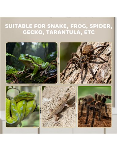 PawHut Acrylic Reptile Terrarium with Top Sliding Door, Vents,  for Snake, Frog, Spider, Gecko, Tarantula, 40 x 30 x 15 cm