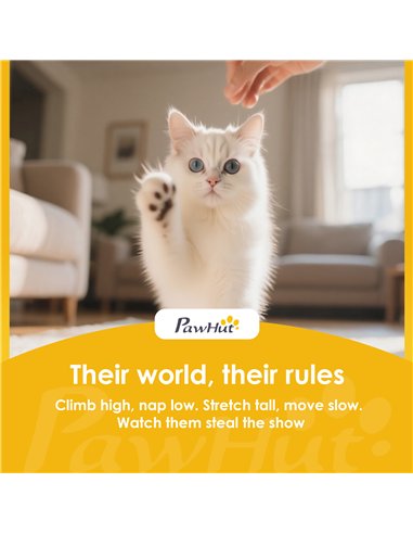 PawHut 75 cm Cat Tree, Cat Tower Condo for Indoor Cats with Scratching Post, Jumping Platform, Grey