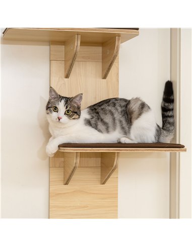 PawHut 4-Level Door Mounted Cat Tree with Washable Plush Mats, Toy Balls, Door Hanging Cat Shelf for Indoor Cats