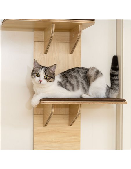 PawHut 4-Level Door Mounted Cat Tree with Washable Plush Mats, Toy Balls, Door Hanging Cat Shelf for Indoor Cats - pic 176935 | FastDaddyshop