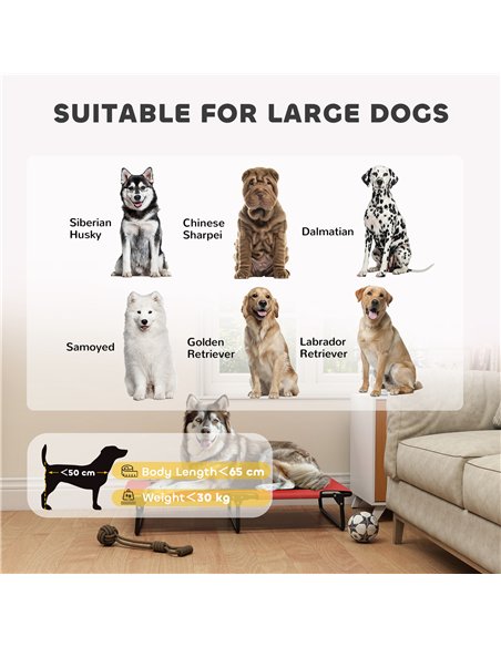 PawHut Portable Raised Dog Bed, Elevated Pet Cot with Breathable Mesh for Indoor Outdoor, for Large Dogs, Red - pic 177025 | FastDaddyshop