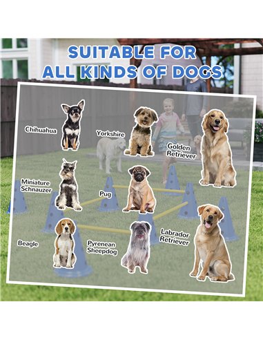 PawHut Dog Agility Equipment Set of Eight Cones, Eight Poles w/ Carry Bag, Four-Piece Adjustable Height Jumping Obstacles Blue