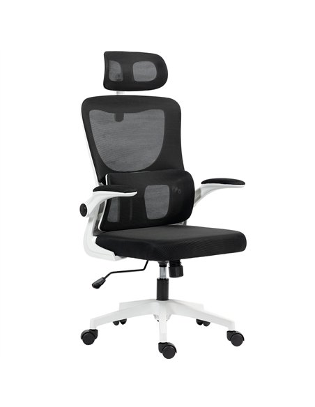 Vinsetto Ergonomic Office Chair, High Back Mesh Computer Desk Chair with Adjustable Headrest and Lumbar Support, Rotatable Armre - pic 177459 | FastDaddyshop