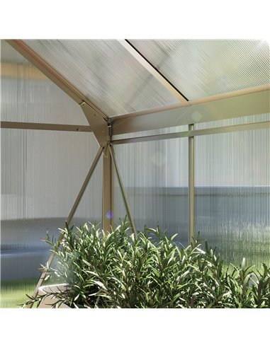 Outsunny 6 x 6ft Polycarbonate Greenhouse - Clear
