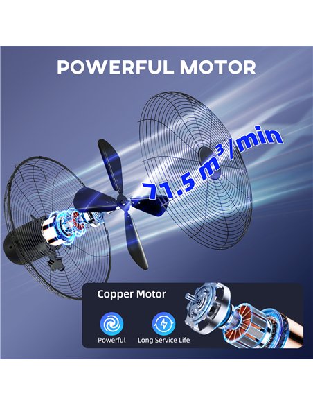 HOMCOM 41 cm Metal Pedestal Fan with Oscillating, Adjustable Height Black - pic 178669 | FastDaddyshop
