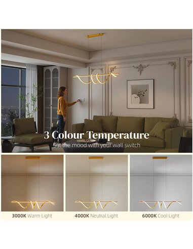 HOMCOM Pendant Light with 3 Colour Temperatures - Gold Tone