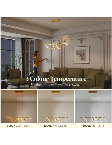 HOMCOM Pendant Light with 3 Colour Temperatures - Gold Tone - pic 179189 | FastDaddyshop
