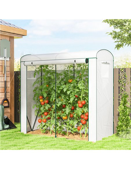 Outsunny Mini Greenhouse, Garden Tomato Growhouse with Roll-Up Door and 2 Mesh Windows, PE Cover, 200 x 75 x 188 cm, White - pic 182292 | FastDaddyshop