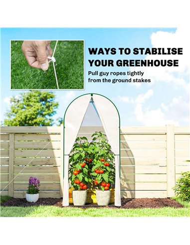 Outsunny Mini Greenhouse, Portable Green House with Roll-Up Door, PE Base, Small Greenhouse, 100 x 100 x 195 cm, White