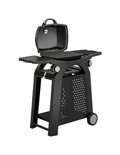 Outsunny 2 Burner Gas Grill with 2 Side Tables, 3.8 KW Barbecue Grill with Cast Iron Grates, 2-in-1 Tabletop BBQ with Wheels