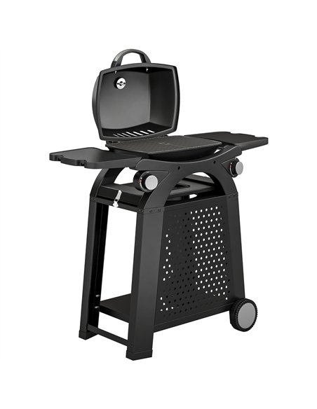 Outsunny 2 Burner Gas Grill with 2 Side Tables, 3.8 KW Barbecue Grill with Cast Iron Grates, 2-in-1 Tabletop BBQ with Wheels - pic 182516 | FastDaddyshop