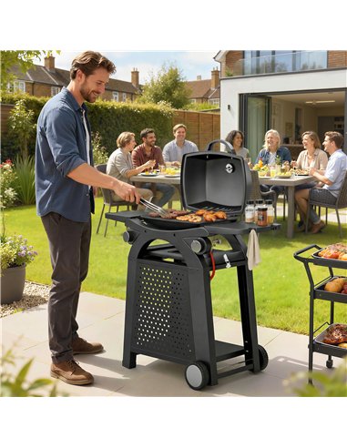 Outsunny 2 Burner Gas Grill with 2 Side Tables, 3.8 KW Barbecue Grill with Cast Iron Grates, 2-in-1 Tabletop BBQ with Wheels