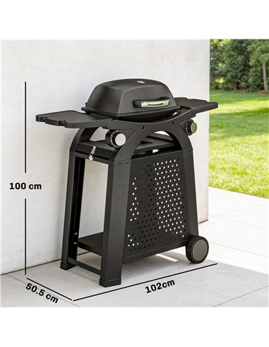 Outsunny 2 Burner Gas Grill with 2 Side Tables, 3.8 KW Barbecue Grill with Cast Iron Grates, 2-in-1 Tabletop BBQ with Wheels