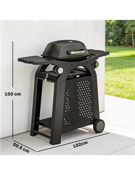Outsunny 2 Burner Gas Grill with 2 Side Tables, 3.8 KW Barbecue Grill with Cast Iron Grates, 2-in-1 Tabletop BBQ with Wheels - pic 182518 | FastDaddyshop