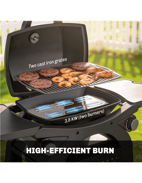 Outsunny 2 Burner Gas Grill with 2 Side Tables, 3.8 KW Barbecue Grill with Cast Iron Grates, 2-in-1 Tabletop BBQ with Wheels - pic 182520 | FastDaddyshop