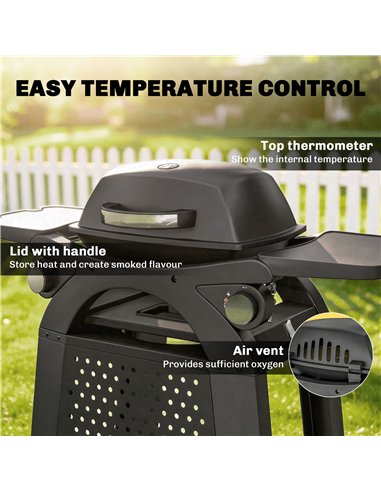 Outsunny 2 Burner Gas Grill with 2 Side Tables, 3.8 KW Barbecue Grill with Cast Iron Grates, 2-in-1 Tabletop BBQ with Wheels
