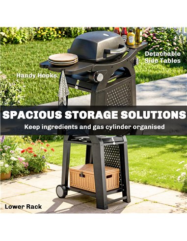 Outsunny 2 Burner Gas Grill with 2 Side Tables, 3.8 KW Barbecue Grill with Cast Iron Grates, 2-in-1 Tabletop BBQ with Wheels