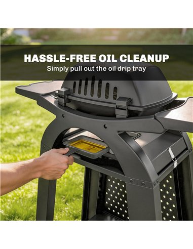 Outsunny 2 Burner Gas Grill with 2 Side Tables, 3.8 KW Barbecue Grill with Cast Iron Grates, 2-in-1 Tabletop BBQ with Wheels