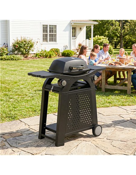 Outsunny 2 Burner Gas Grill with 2 Side Tables, 3.8 KW Barbecue Grill with Cast Iron Grates, 2-in-1 Tabletop BBQ with Wheels - pic 182524 | FastDaddyshop