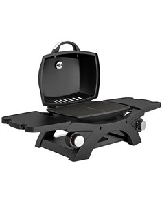 Outsunny 2 Burner Gas Grill with 2 Detachable Side Tables, 3.8 KW Steel Barbecue Grill with Cast Iron Grates, Lid, Thermometer