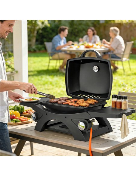 Outsunny 2 Burner Gas Grill with 2 Detachable Side Tables, 3.8 KW Steel Barbecue Grill with Cast Iron Grates, Lid, Thermometer - pic 182527 | FastDaddyshop