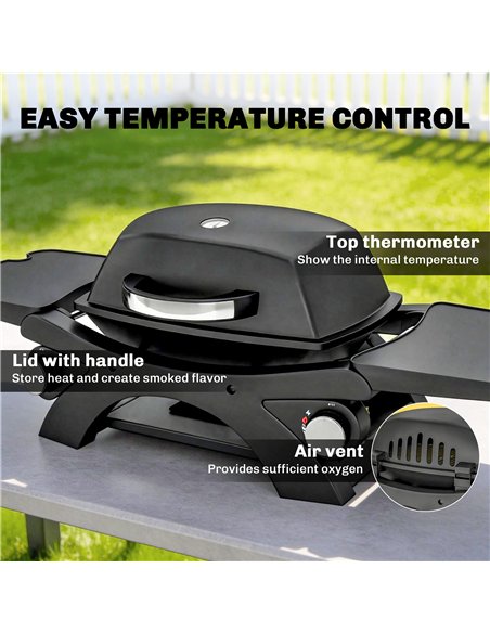 Outsunny 2 Burner Gas Grill with 2 Detachable Side Tables, 3.8 KW Steel Barbecue Grill with Cast Iron Grates, Lid, Thermometer - pic 182530 | FastDaddyshop