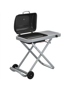 Outsunny Foldable Gas BBQ Grill with Side Table, Portable Gas Barbecue Grill with Thermometer, Grease Box, Wheels, 2.5 kW, Black