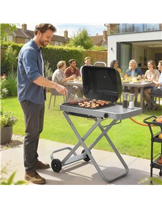 Outsunny Foldable Gas BBQ Grill with Side Table, Portable Gas Barbecue Grill with Thermometer, Grease Box, Wheels, 2.5 kW, Black 2
