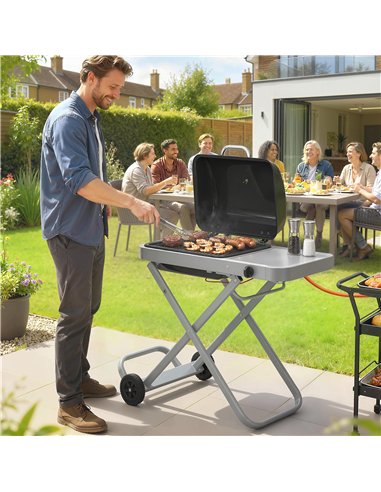 Outsunny Foldable Gas BBQ Grill with Side Table, Portable Gas Barbecue Grill with Thermometer, Grease Box, Wheels, 2.5 kW, Black