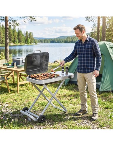 Outsunny Foldable Gas BBQ Grill with Side Table, Portable Gas Barbecue Grill with Thermometer, Grease Box, Wheels, 2.5 kW, Black
