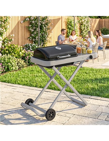 Outsunny Foldable Gas BBQ Grill with Side Table, Portable Gas Barbecue Grill with Thermometer, Grease Box, Wheels, 2.5 kW, Black - pic 182542 | FastDaddyshop