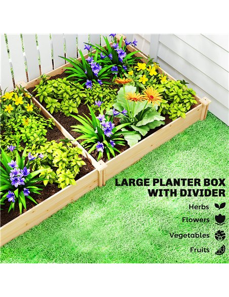 Outsunny Raised Garden Bed, Wooden Planter Box with Divider and Open Bottom for Flowers, Herbs, Vegetables, DIY Painting - pic 187126 | FastDaddyshop