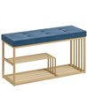 HOMCOM Bench and Shoe Storage, Tufted Shoe Storage Bench with Velvet Seat Cushion Gold Steel Frame for Entryway, Dark Blue