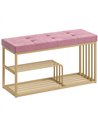 HOMCOM Bench and Shoe Storage, Tufted Shoe Storage Bench with Velvet Seat Cushion Gold Steel Frame for Entryway, Pink