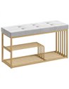 HOMCOM Bench and Shoe Storage, Tufted Shoe Storage Bench with Velvet Seat Cushion Gold Steel Frame for Entryway, Grey