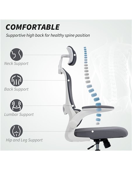 HOMCOM Mesh Back Office Chair, with Lumbar Support - Charcoal Grey - pic 191446 | FastDaddyshop