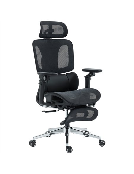 HOMCOM Ergonomic Office Chair, High Back Mesh Desk Chair, Black - pic 191497 | FastDaddyshop