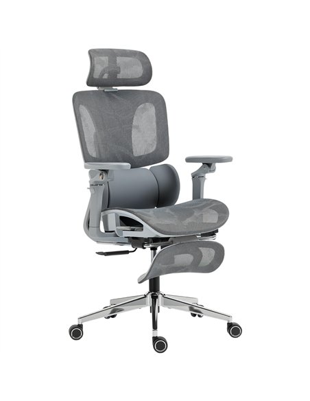 HOMCOM Ergonomic Office Chair, High Back Mesh Desk Chair, Grey - pic 191506 | FastDaddyshop