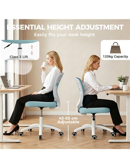 HOMCOM Office Chair, Armless Computer Desk Chair with Breathable Mesh, Adjustable Height, Swivel Wheels, Light Blue - pic 191763 | FastDaddyshop