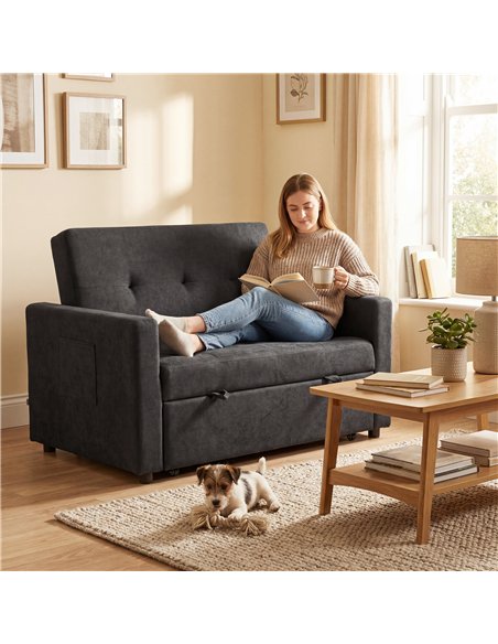 HOMCOM Loveseat Sofa Bed, Convertible Bed Settee with 2 Pillows, Side Pockets, Black - pic 192164 | FastDaddyshop