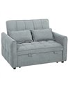 HOMCOM 2 Seater Sofa Bed, 3-in-1 Convertible Sleeper Sofa with Click-clack Adjustable Backrest and 2 Pillows, Grey