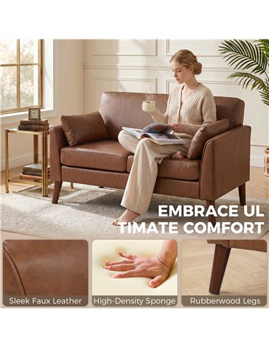 HOMCOM 2 Seater Sofa, 132 cm Modern Small Sofa with Solid Wood Legs and 2 Pillows for Small Space, Brown
