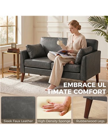 HOMCOM 2 Seater Sofa, 132 cm Modern Small Sofa with Solid Wood Legs and 2 Pillows for Small Space, Grey