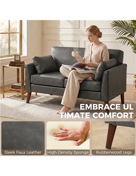 HOMCOM 2 Seater Sofa, 132 cm Modern Small Sofa with Solid Wood Legs and 2 Pillows for Small Space, Grey - pic 192472 | FastDaddyshop