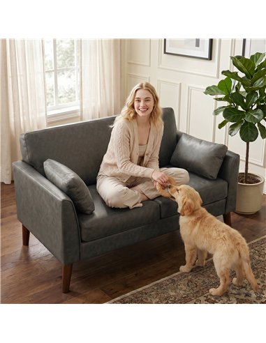 HOMCOM 2 Seater Sofa, 132 cm Modern Small Sofa with Solid Wood Legs and 2 Pillows for Small Space, Grey