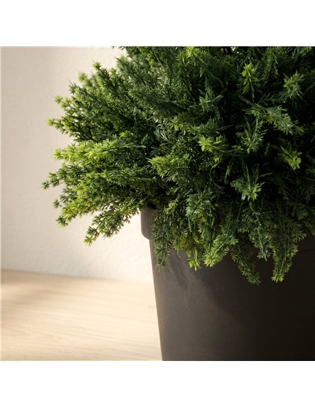 HOMCOM Decorative Artificial Plants Set of 2, UV Resistant Fake Plants in Pot for Indoor Outdoor Decor, 120 cm, Deep Green - pic 192702 | FastDaddyshop